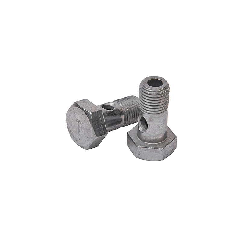 Hinge Bolt Hinge Bolt
