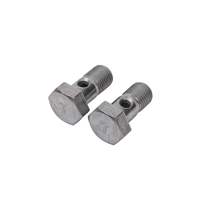 Hinge Bolt Hinge Bolt