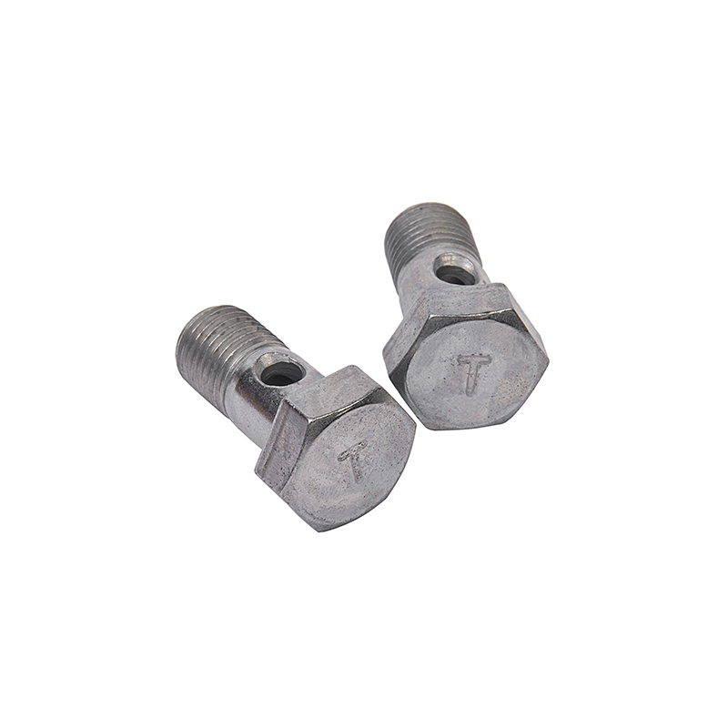 Hinge Bolt Hinge Bolt