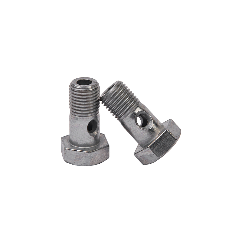 Hinge Bolt Hinge Bolt