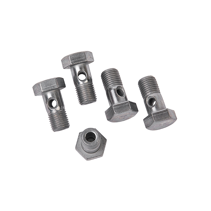 Hinge Bolt Hinge Bolt